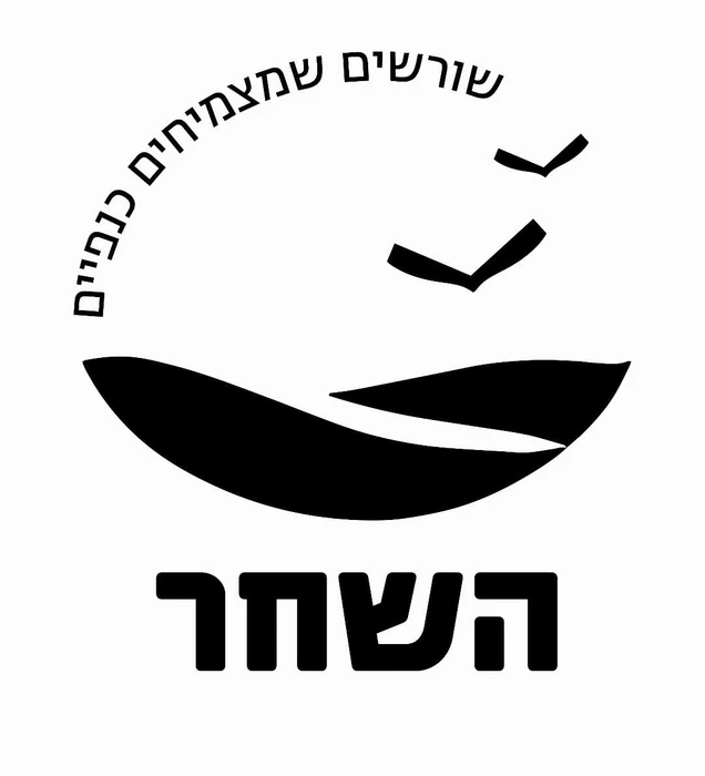 השחר - ירושלים