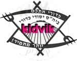 כדורי יסודי