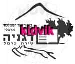 טירת הכרמל - דגניה