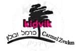 יגור - כרמל זבולון