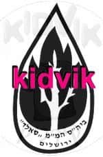 ירושלים - סאלד